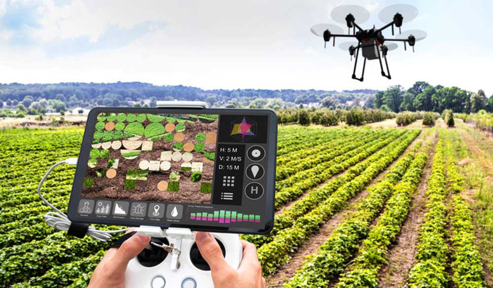 Crop Monitoring & Management