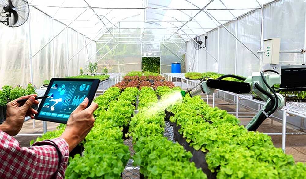 Smart Farming and Plantation